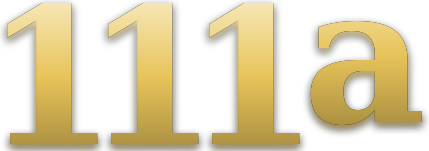 111a logo
